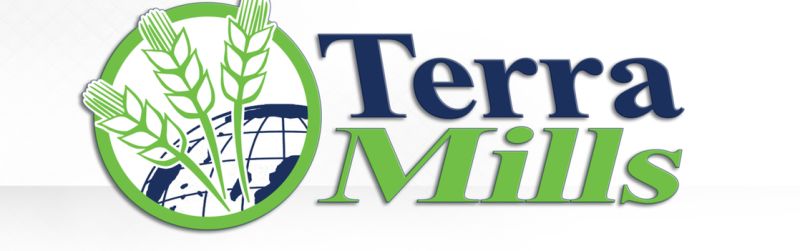 文件:TerraMills-Logo v5.jpg