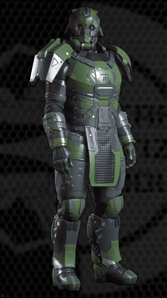 文件:Citadel Armor Set - Dark Green.png