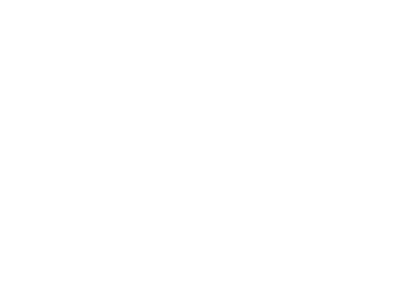 Fiore logo a diff.png
