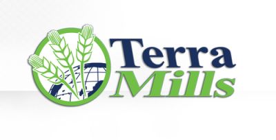 Comm-Link-TerraMills-Logo v5.jpg
